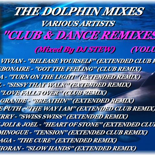THE DOLPHIN MIXES - VARIOUS ARTISTS - ''CLUB & DANCE REMIXES'' (VOLUME 24)