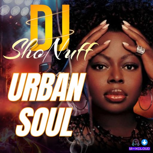 THE URBAN SOUL PROJECT (ANGIE STONE 4SHO)