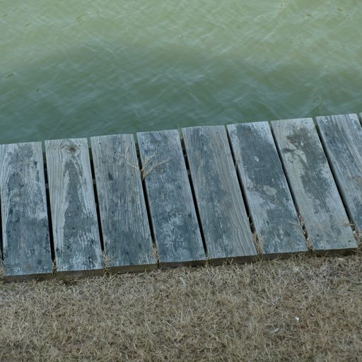 Despite what all the studies have shown (Eclectic Playlist Series, Vol. 8)