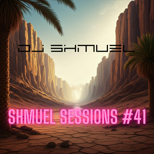 Shmuel Sessions #41 - 2 January 2025