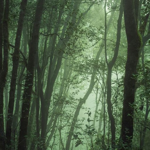 Naviar Broadcast #342 - Through a World of Sound - 23rd October 2024