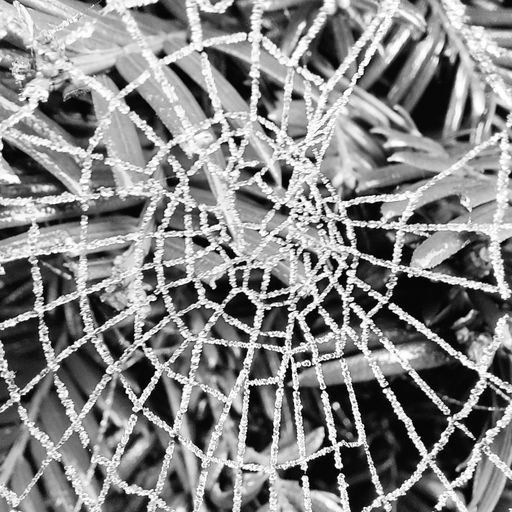 A little Monday progression (24/04/23)