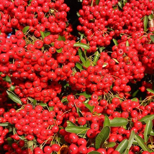 If Music Presents You Need This w/ Jean-Claude - 21st December 2025