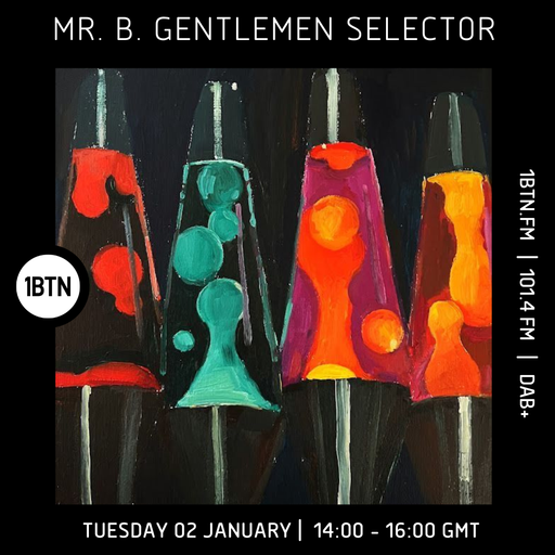 Mr. B. Gentlemen Selector - 02.01.24