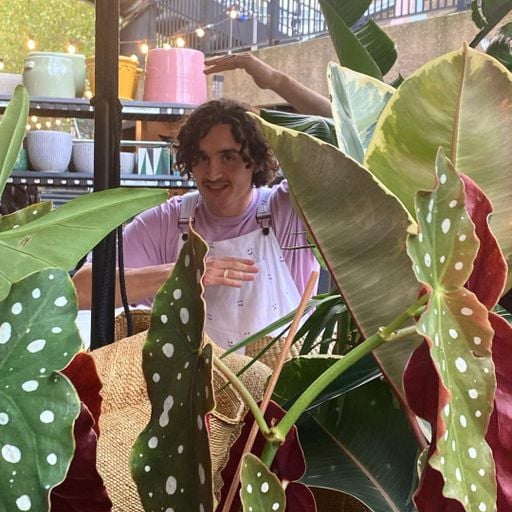 Brazil Show w/ Jaames - 18/11/22