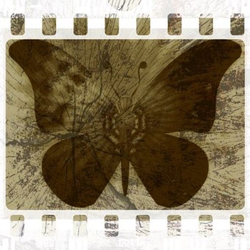 Cocoon Moon (EclecticChillTrip)