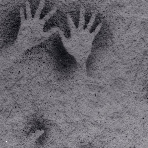 Unexplained Sounds #367 - 23 June 2025
