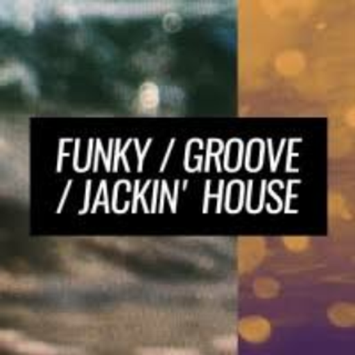 Funky, Groove & Jackin' House Mix # 3