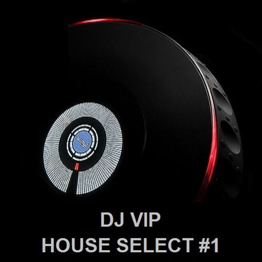 DJ VIP - HOUSE SELECT #1