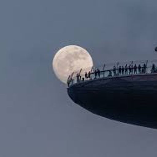 Moon Capture (Progressive&ArtRock)