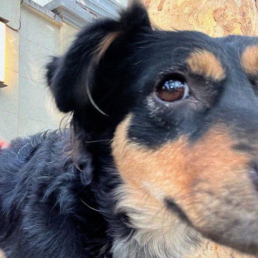 Illsee - 28th November 2025