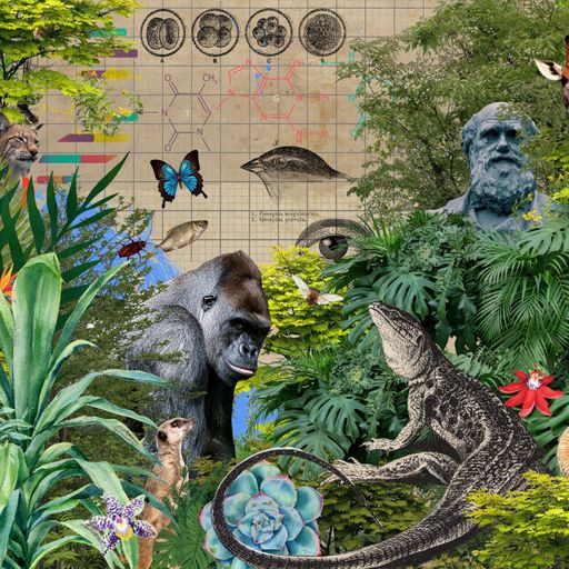 From the archive: Do we need a new theory of evolution?