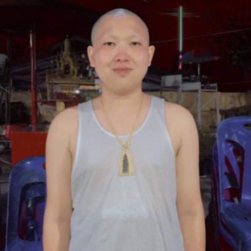 งานบวชนาคโต๊ด