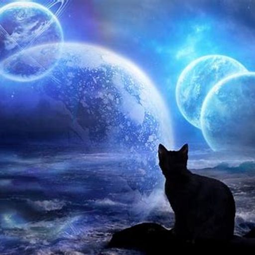 Cat's Dreams (ExtendedJazzFusion)