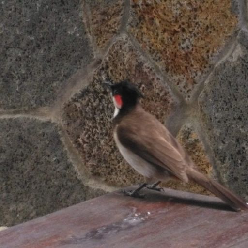 DREADheadz DUB & Reggae & freedom sounds 4 BLESS homerec 136 am 18.2.2025