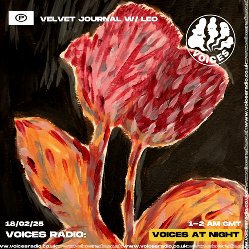 Velvet journal w/ Leo 18/02/25 - [Voices Radio]