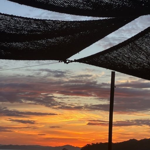 SUNSET Vibes Part II 14-2-24 (afro & deep)