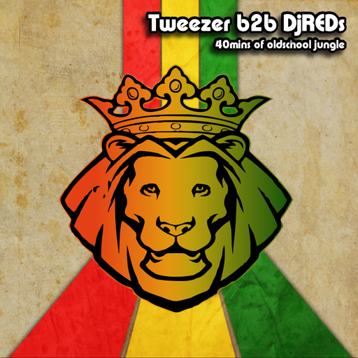 40 mins of oLd SkOoL JuNgLe : Tweezer b2b DJ Reds