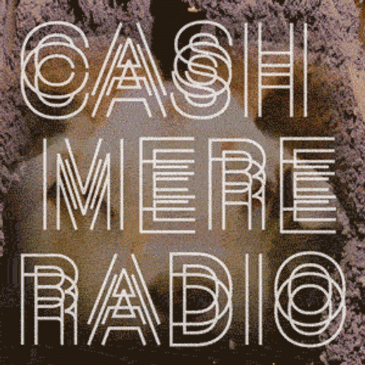 Cashmere Guest Mixes #2 w/ Dynamo Dreesen 06.01.2021