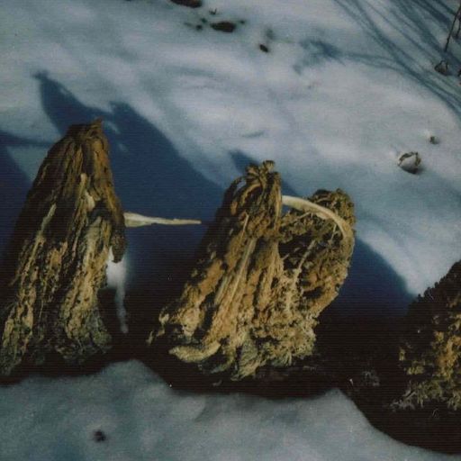 A Month of Sundays w/ Bill Spencer - 15th March 2026