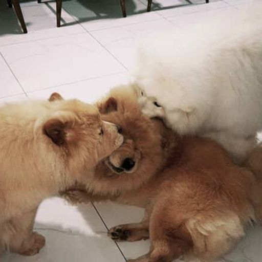 DJ冬冬【66集团老三专属】PROGHOUSE【VOL1】「流离 · 离开我的依赖 · 难生恨 · 我爱你 · 拆穿」2025'MIXX