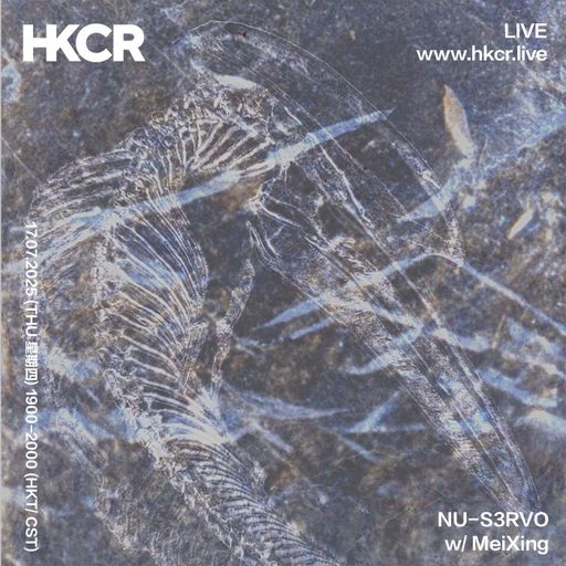 NU-S3RVO w/ MeiXing - 17/07/2025