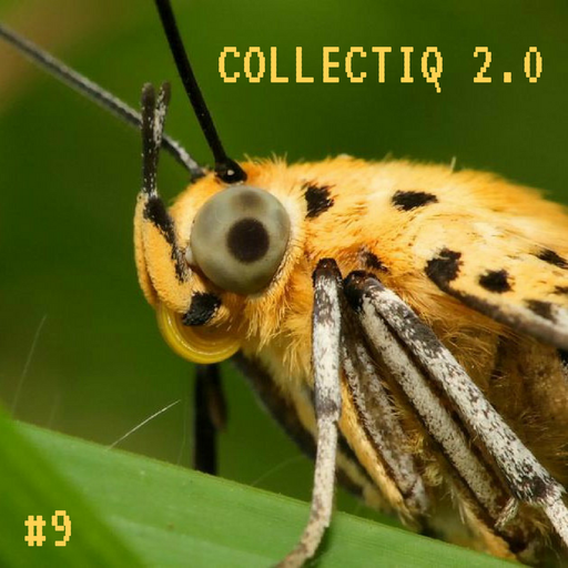 Collectiq 2.0 #9: Modo