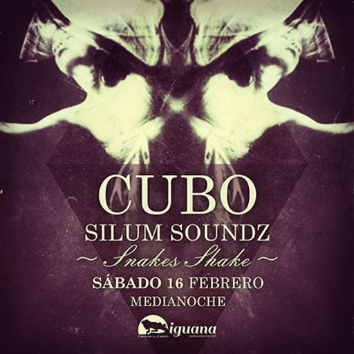 Cubo: Snake's Shake 2/2