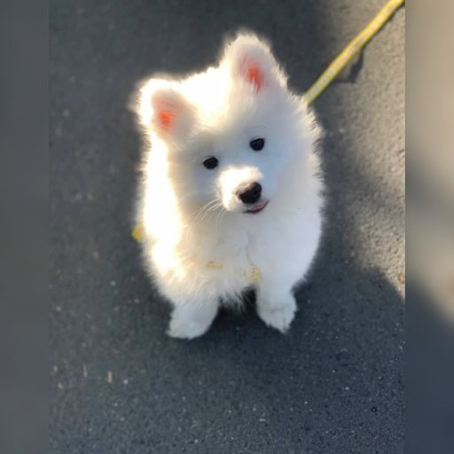 DJ'YE【Charlie Private Mix】《Dj Blyatman - Kamaz X 周杰倫 - 我落淚情緒零碎 X H3R3 - 忘不掉的你》Mixtape 2x23