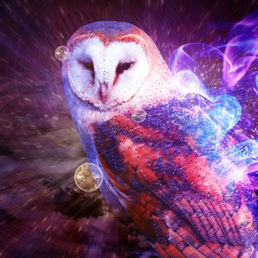 Irritable Owl Syndrome - Hardcore Twit Twoo-ing - Early 90s Massive ... x