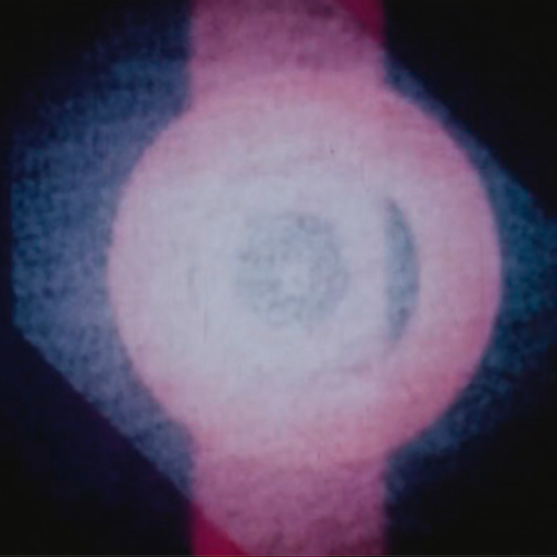 Floresta: Nicola Cruz With Azu Tiwaline // 28-06-21