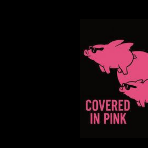 Pink Fairies  Covered In Pink