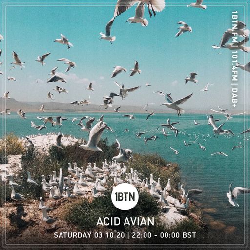 Acid Avian - 03.10.2020