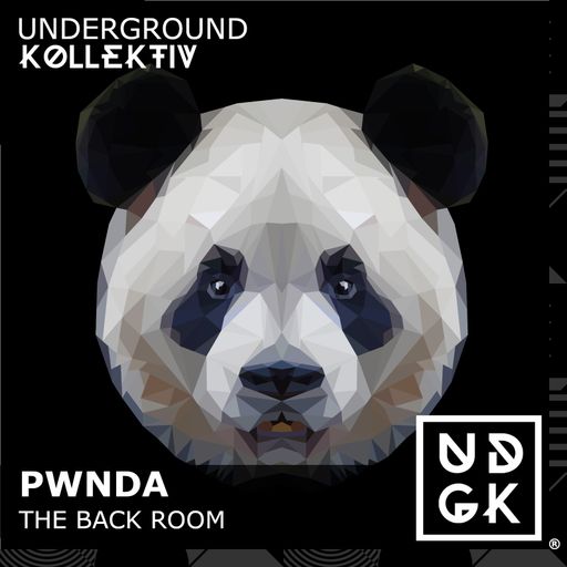 pwnda - pwnda - The Back Room - a new chapter  (Improvised happiness) (UDGK: 23/03/2025)