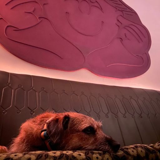 Dub-Woofer w. DJ DaFLO - September 2023