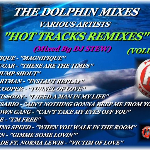 THE DOLPHIN MIXES - VARIOUS ARTISTS - ''HOT TRACKS REMIXES'' (VOLUME 29)