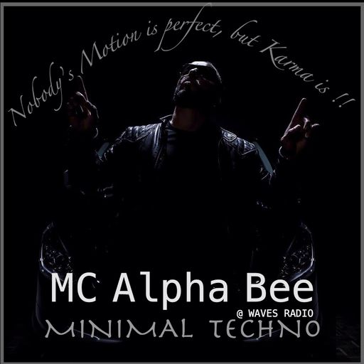 MC Alpha Bee for Waves Radio #18 - NOBODY'S MOTION IS PERFECT, BUT KARMA IS !!