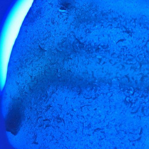 Sea glass - Masc_inations - March 2026