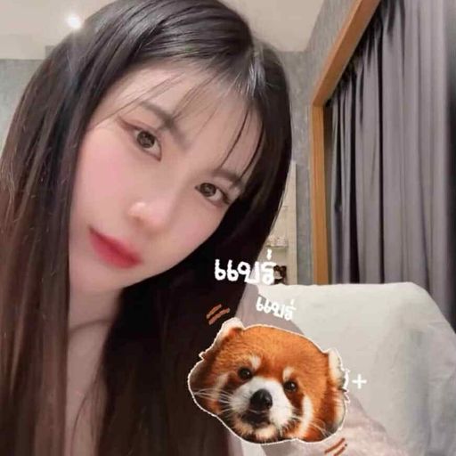 ไม่ได้แพ้เสียงในหัวแต่แพ้หมาในปาก #EDM+เพลงจีน By-Praewmeow