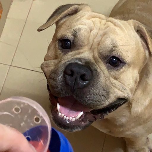 AA V8 【我认xNUNAx起风了x黄昏x侧脸x多远都要在一起x他不懂x我的名字x天空】DJ HoLend 2022 Remix