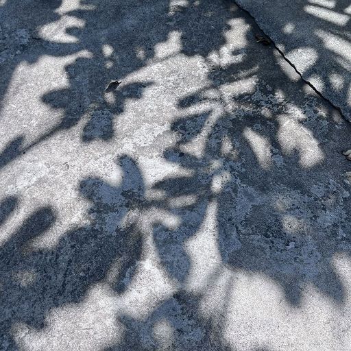 SOPHIA ZHURAVKOVA - 19th April 2026