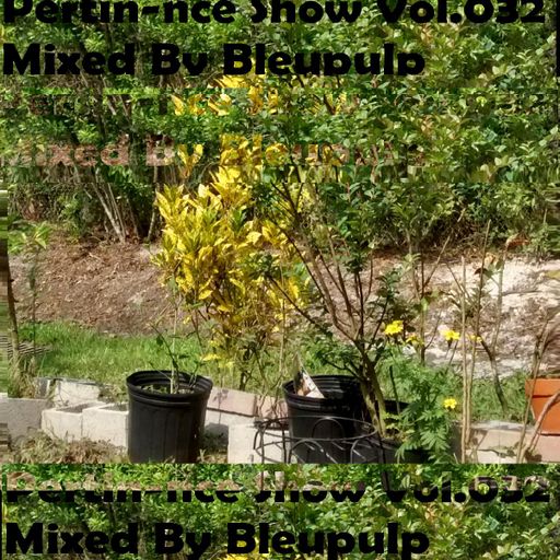 pertin-nce show vol.032 mixed by bleupulp