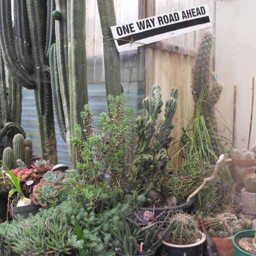 TDC: Nicky Havey Guestmix - LIVE! on DNBHeaven.com (11/28/15)