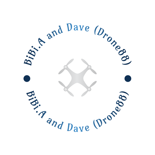 BiBi.A and Drone88 (Dave) B2B