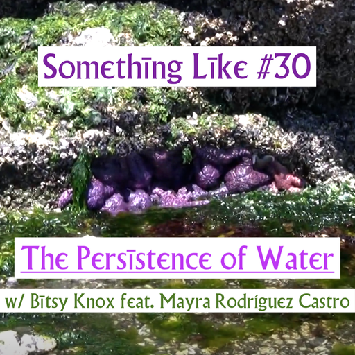 Something Like #30: The Persistence of Water w/ Bitsy Knox feat. Mayra Rodríguez Castro