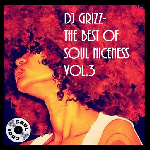 Soul Cool Records/ DJ Grizz - Best of Niceness Vol 3