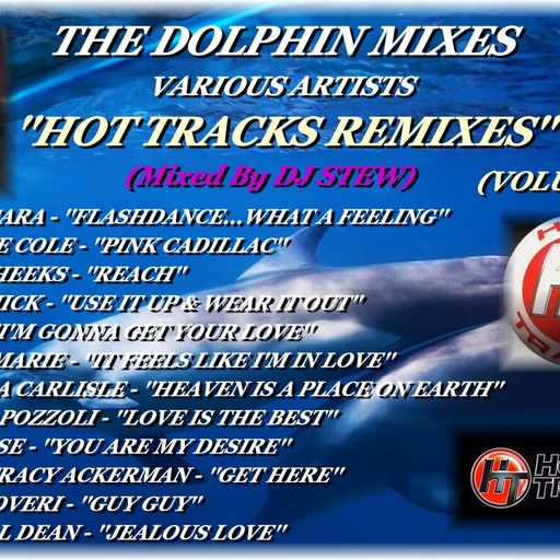 THE DOLPHIN MIXES - VARIOUS ARTISTS - ''HOT TRACKS REMIXES'' (VOLUME 21)