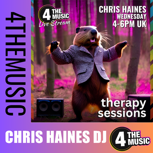 Chris Haines DJ - 4TM Exclusive - Nice Soulful Beaver