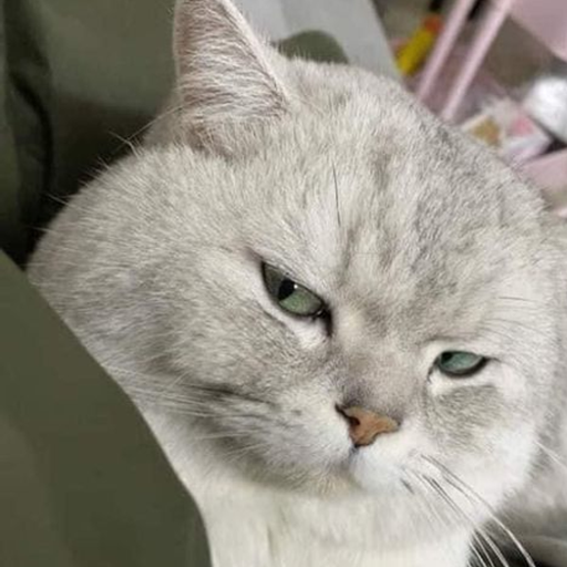 Manyao Chinese Mash Up - NotFound