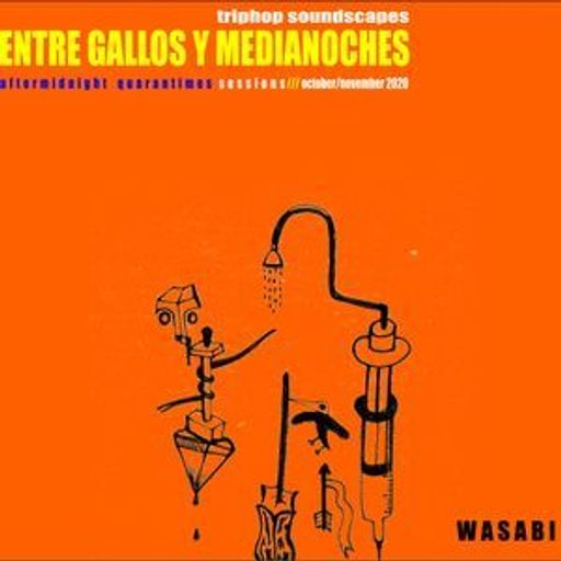 ENTRE GALLOS Y MEDIANOCHES/ Aftermidnight Quarantimes Sessions / triphop soundscapes/ Vol. 5